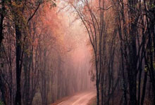 恒大主场击败鲁能，稳固积分榜首位