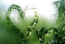 防疫情下比赛的开展，让球迷们倍感期待