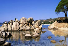 灰熊弱势反弹士气高昂，球队寻找突破点